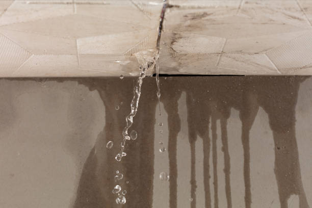 Professional Water Damage Repair technician working in Roslindale, MA